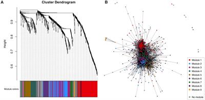 Network Analysis of the CSF Proteome Characterizes Convergent Pathways of Cellular Dysfunction in ALS